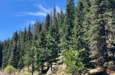 3-ppxc7zncyrpv0g8s0dyr1qvqggga1iy75c498xekqw